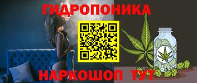 a pvp Аргун